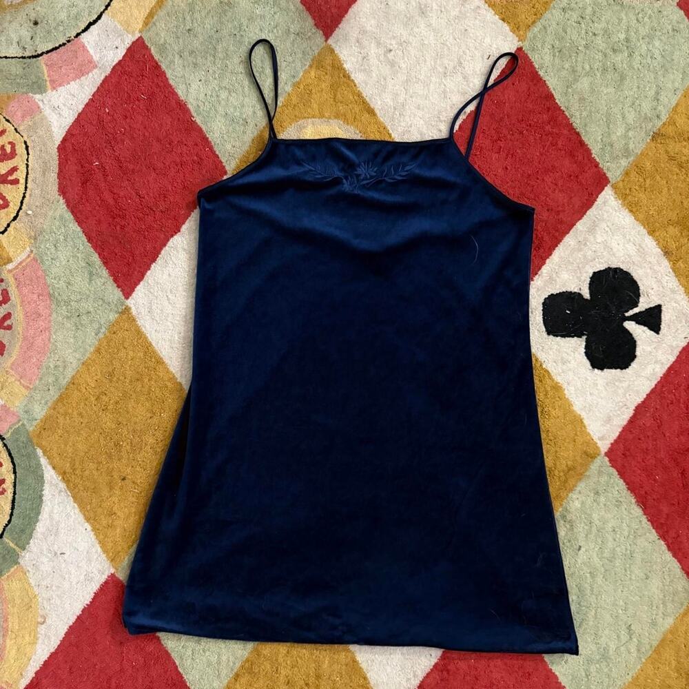 Vintage blue velvet slip